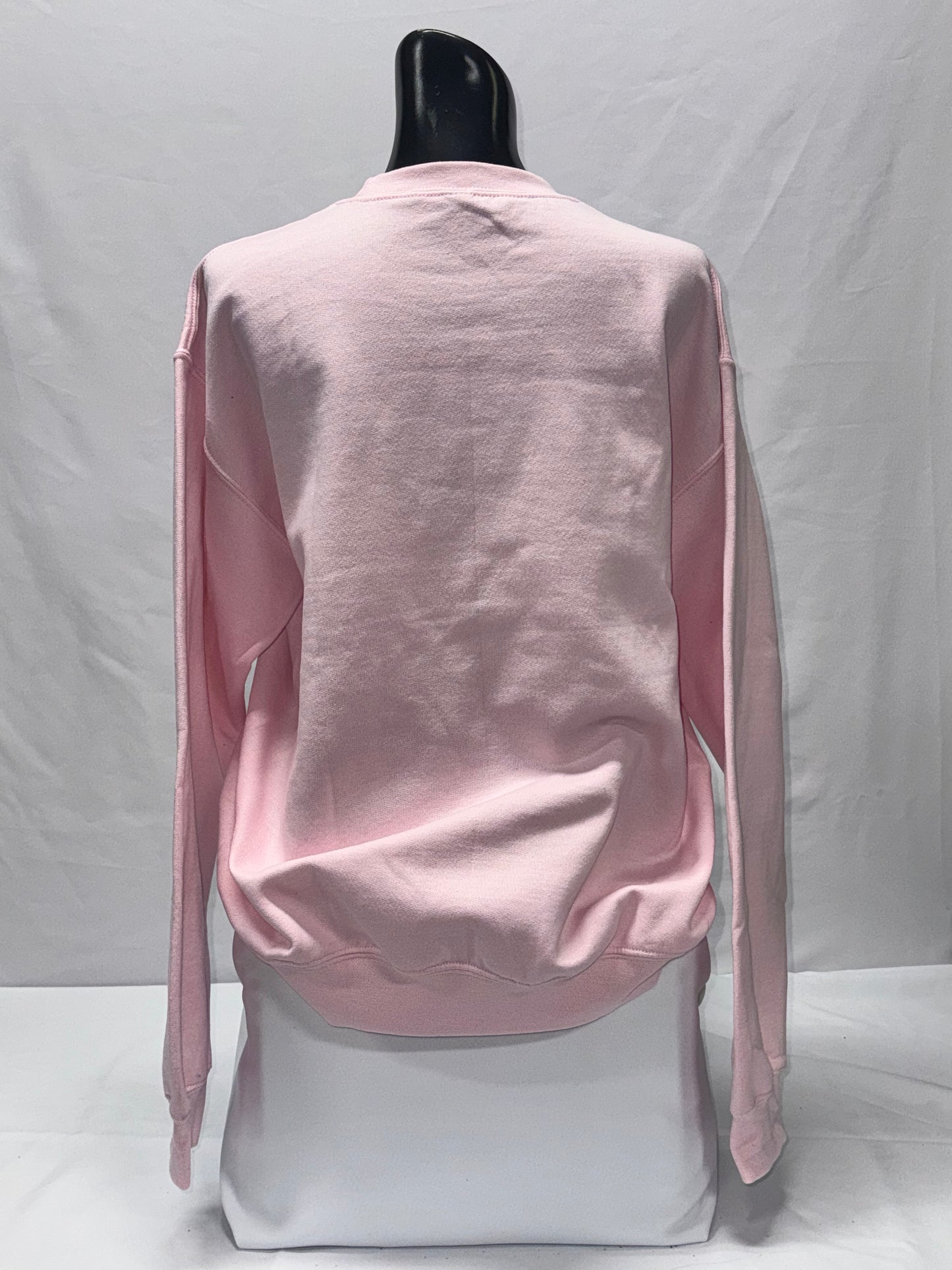 LA City Fire Dept "Disney" Crew